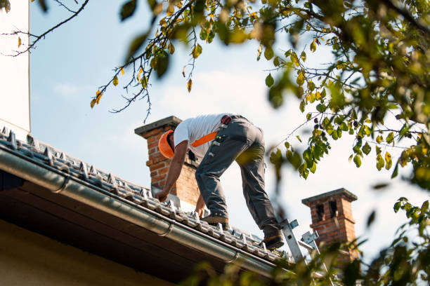 Best Flat Roof Repair Services  in Pine Prairie, LA