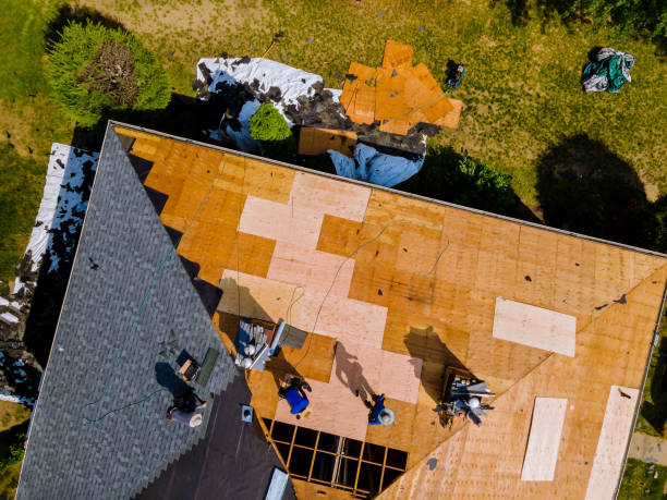 Best Metal Roofing Contractor  in Pine Prairie, LA