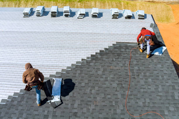 Best New Roof Installation  in Pine Prairie, LA