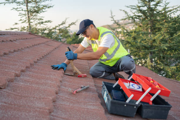 Best Affordable Roof Replacement  in Pine Prairie, LA