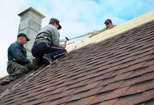 Professional Roofing Contractor in Pine Prairie, LA