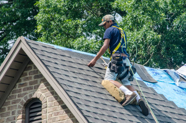 Roof Repair Estimates in Pine Prairie, LA