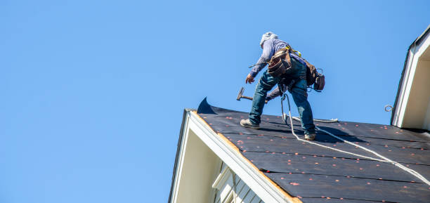 Best Roof Maintenance Services  in Pine Prairie, LA